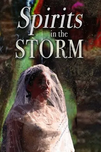 Póster de Spirits in the Storm