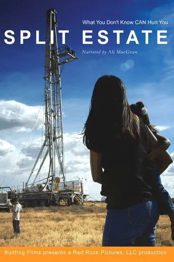 Póster de Split Estate