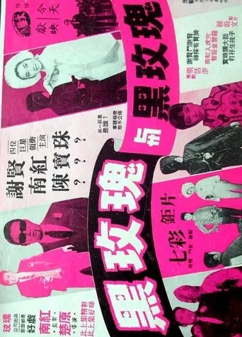 Póster de Spy with My Face