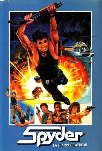 Póster de Spyder