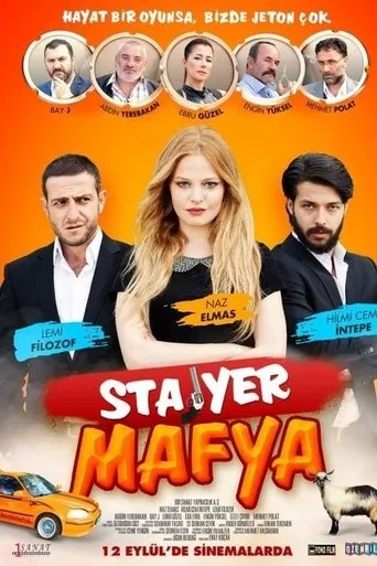 Póster de Stajyer Mafya