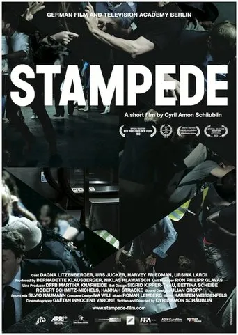 Póster de Stampede