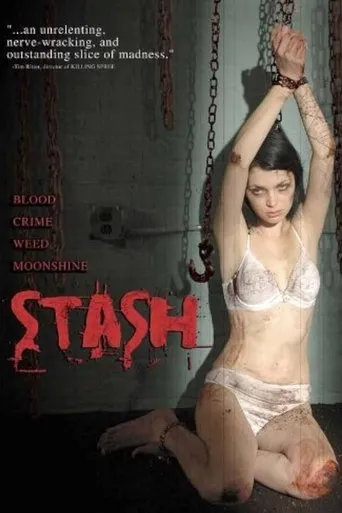 Póster de Stash