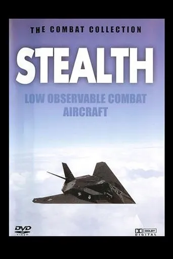 Póster de Stealth: Low Observable Combat Aircraft