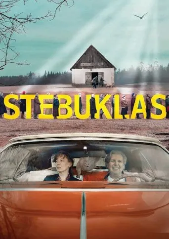 Póster de Stebuklas