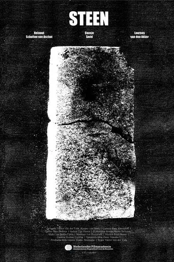 Póster de Steen