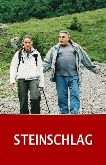 Póster de Steinschlag