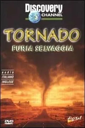 Póster de Storm forces tornadoes