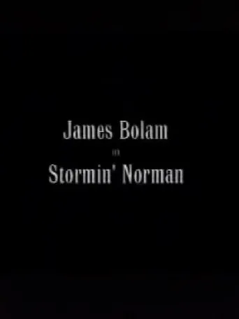 Póster de Stormin' Norman