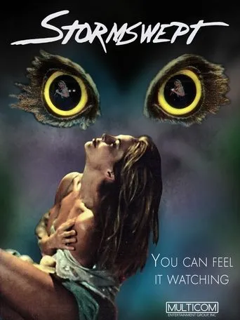 Póster de Stormswept