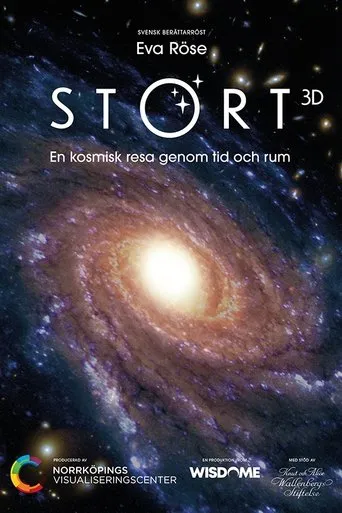 Póster de Stort