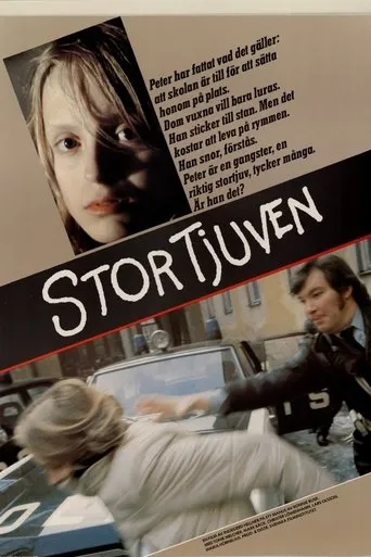 Póster de Stortjuven