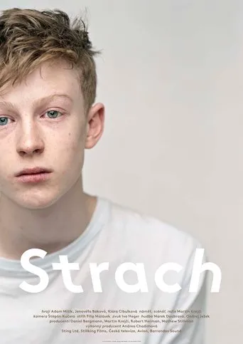 Póster de Strach