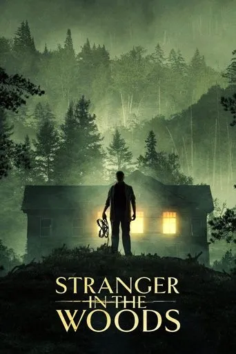 Póster de Stranger in the Woods