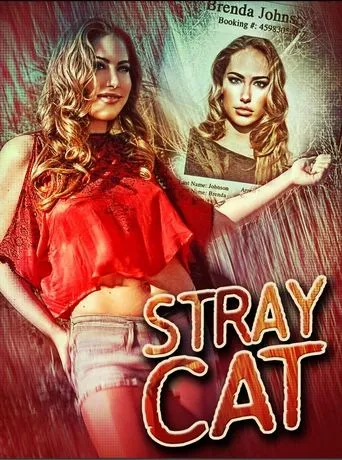 Póster de Stray Cat