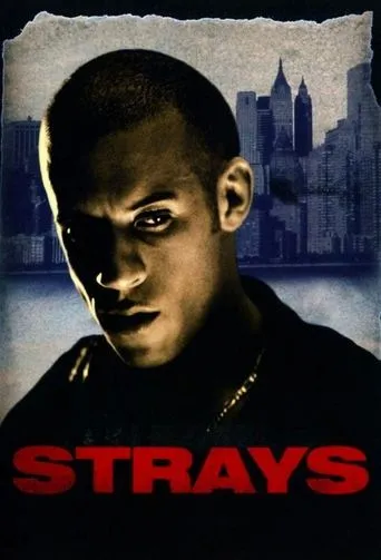 Póster de Strays