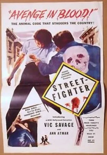 Póster de Street Fighter