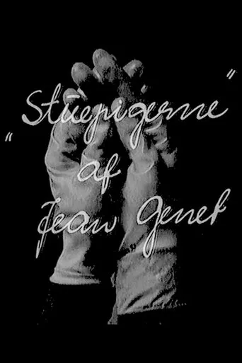 Póster de Stuepigerne