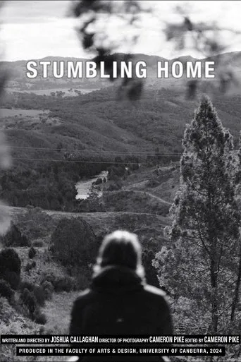 Póster de Stumbling Home
