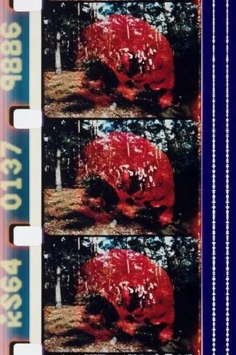 Póster de Sun Love