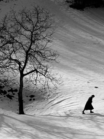 Póster de Suolni iz Trsta