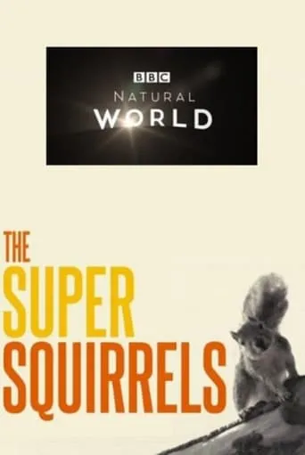 Póster de Super Ardillas