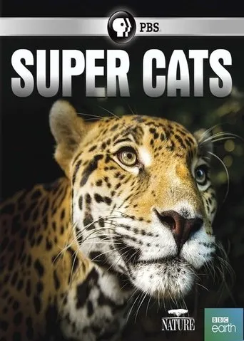 Póster de Super Cats