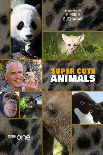 Póster de Super Cute Animals