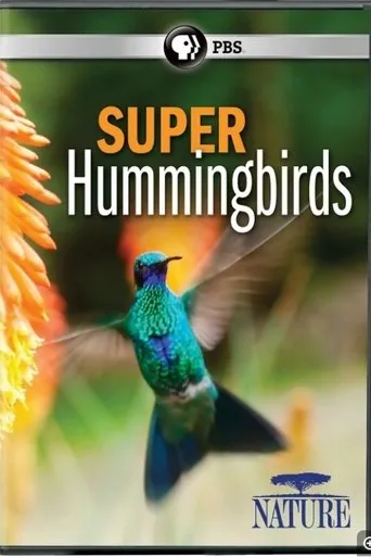 Póster de Super Hummingbirds