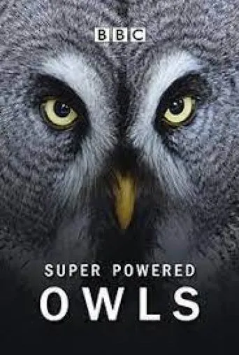 Póster de Super Powered Owls