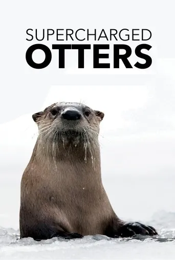 Póster de Supercharged Otters