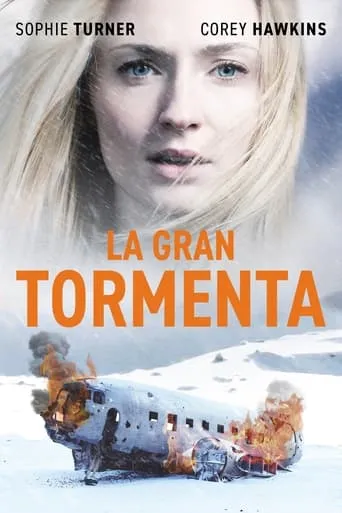 Póster de Survive