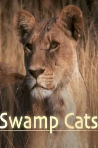 Póster de Swamp Cats