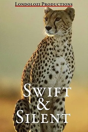 Póster de Swift and Silent