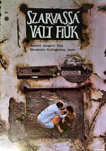 Póster de Szarvassá vált fiúk