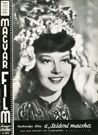 Póster de Sziámi macska