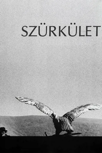 Póster de Szürkület