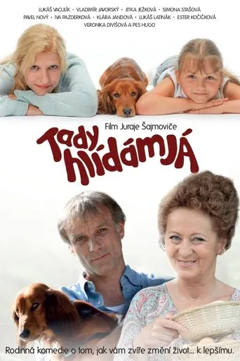 Póster de Tady hlídám já