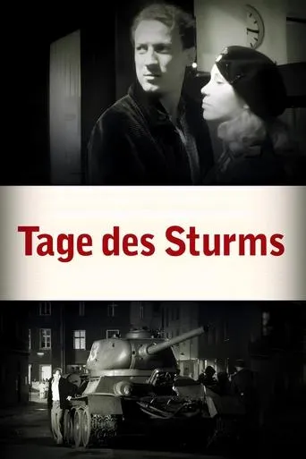 Póster de Tage des Sturms
