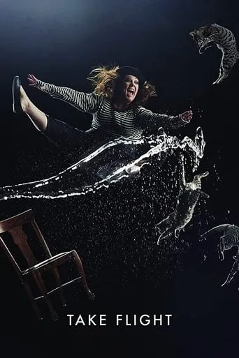 Póster de Take Flight