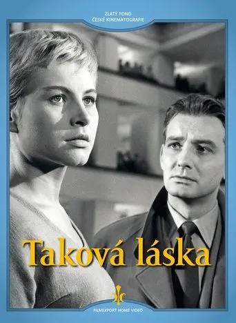 Póster de Taková láska