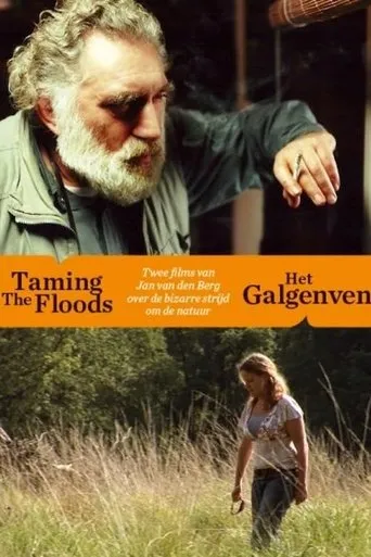 Póster de Taming the Floods