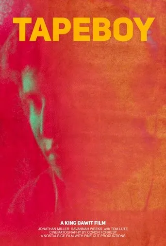 Póster de Tapeboy