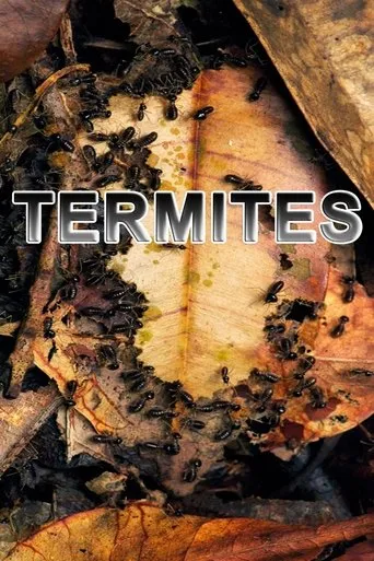 Póster de Termites: The Inner Sanctum