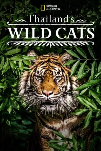 Póster de Thailand's Wild Cats