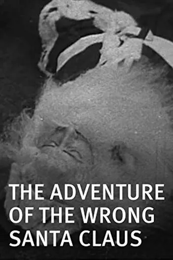 Póster de The Adventure of the Wrong Santa Claus