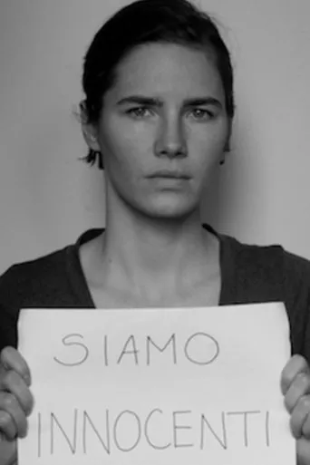 Póster de The Amanda Knox Saga