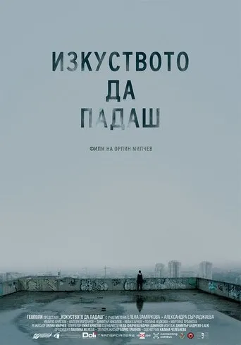 Póster de The Art of Falling