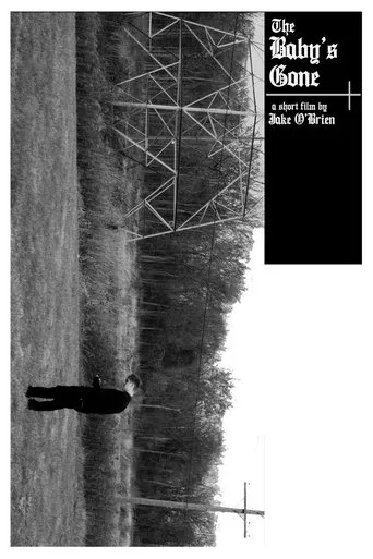 Póster de The Baby's Gone