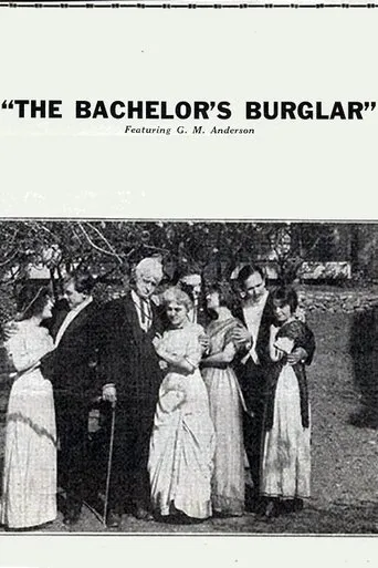 Póster de The Bachelor's Burglar